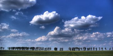 Despre grijile vieții