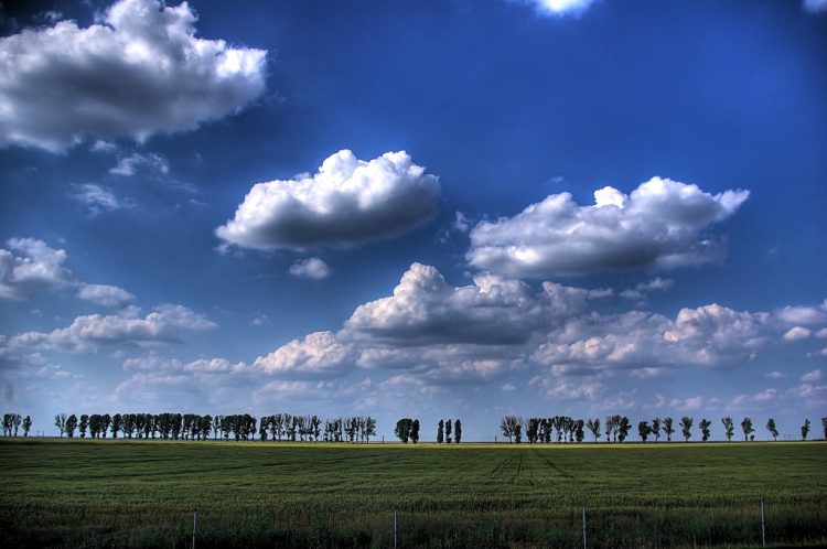 Despre grijile vieții