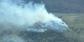 Incendiu de vegetație uscată la Săpânța