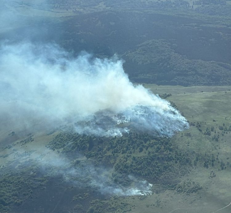 Incendiu de vegetație uscată la Săpânța