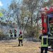 Pompieri români, mobilizați și angrenați pentru stingerea unui incendiu forestier izbucnit într-o localitate din Franța