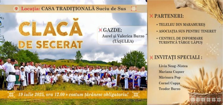 Tradițiile Renaștă în Maramureș: „Clacă de Secerat” la Suciu de Sus, pe 19 iulie