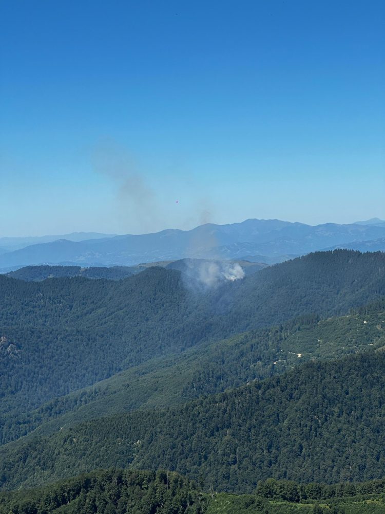 ATENTIE: arde pădurea în Masivul Țibleș
