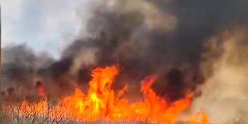 Incendiu în Parcul Naţional Munţii Rodnei