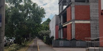 ACTUALIZARE: TROTUARE ÎN PARAGINĂ: Șobolani și șerpi la 2 pași de o clinică dentară. „A început curățenia generală”