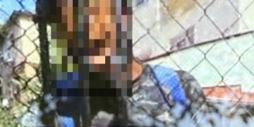 Bărbat surprins în timp ce se atingea indecent în fața unor copii, identificat și predat Poliției de jandarmii maramureșeni