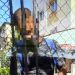 Bărbat surprins în timp ce se atingea indecent în fața unor copii, identificat și predat Poliției de jandarmii maramureșeni