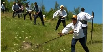 Clacă de coasă pe Valea Izei a ajuns la ediția a IV-a