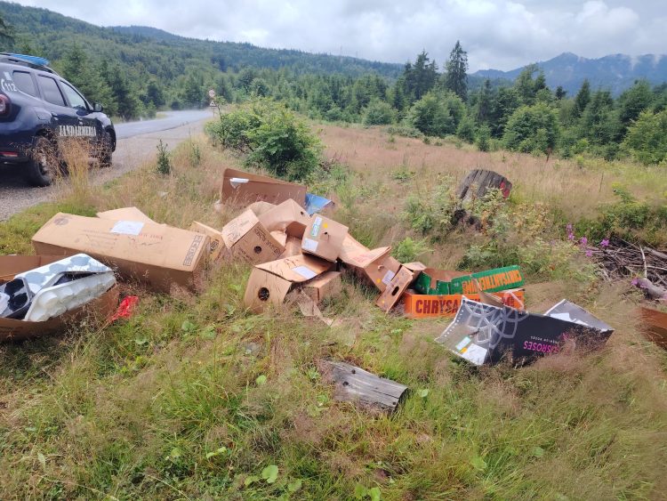 Aruncarea deșeurilor în natură, sancționată de jandarmii montani de la Cavnic