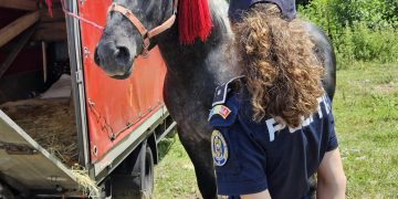 Polițiștii prezenți la Festivalul Ecvestru de la Suciu de Sus