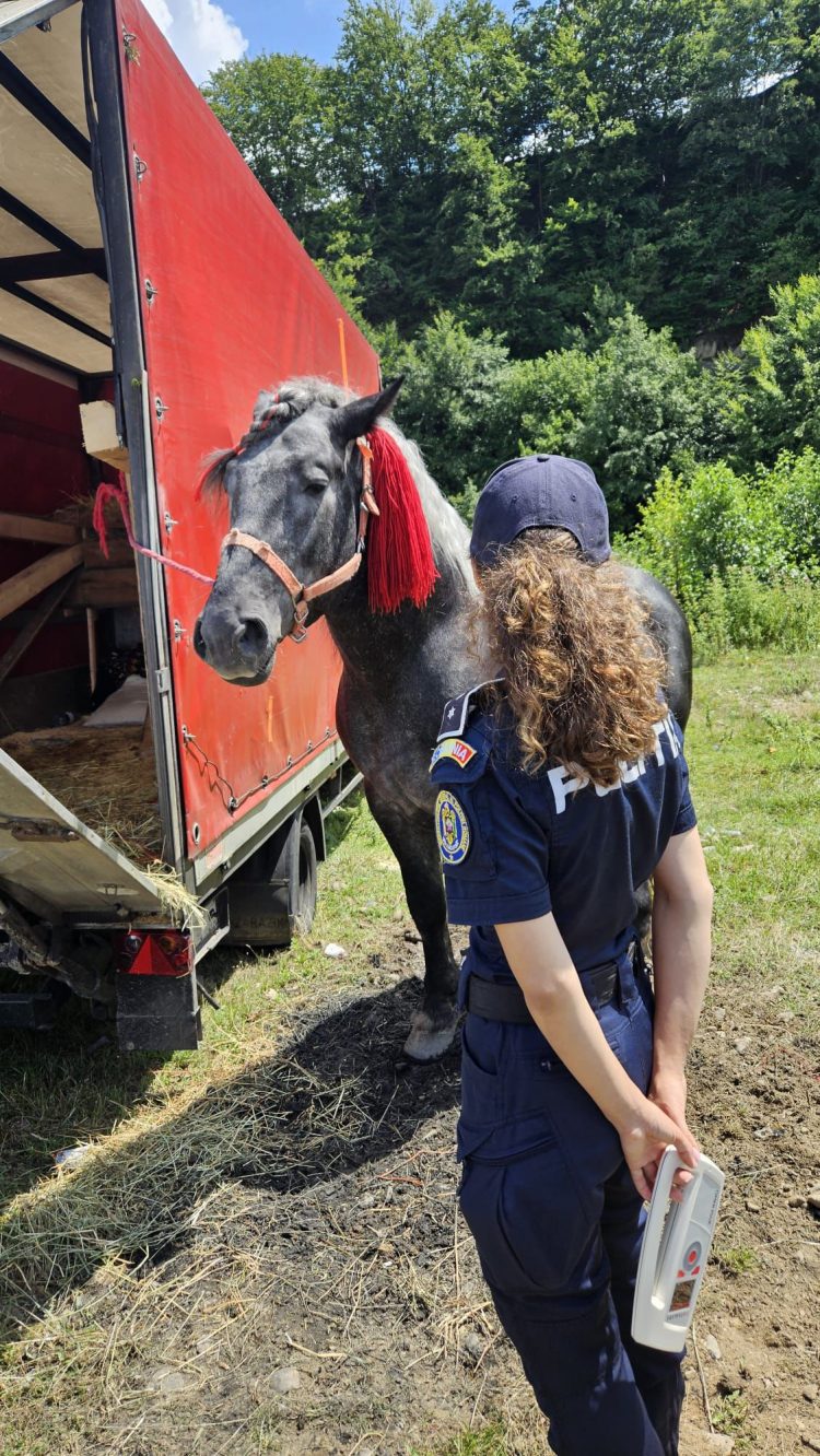 Polițiștii prezenți la Festivalul Ecvestru de la Suciu de Sus
