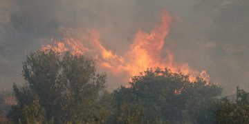 Incendiile de vegetație fac prăpăd în Grecia. A fost decretată stare de urgență în zonele afectate
