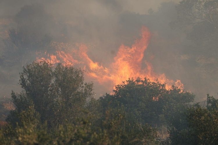 Incendiile de vegetație fac prăpăd în Grecia. A fost decretată stare de urgență în zonele afectate