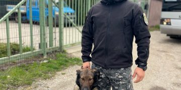 Câinele polițist Gam, angrenat în verificarea a 74 auto, în Coltău. Au fost aplicate sancțiuni de peste 10.000 de lei