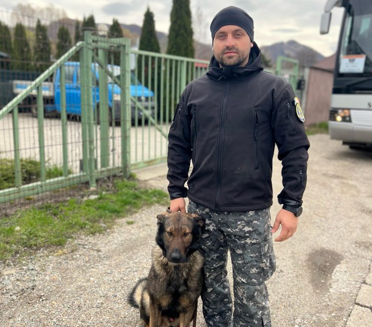 Câinele polițist Gam, angrenat în verificarea a 74 auto, în Coltău. Au fost aplicate sancțiuni de peste 10.000 de lei