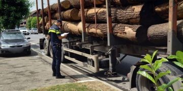 Acţiune a poliţiştilor Biroului Judeţean de Poliţie Transporturi împreună cu reprezentanţi ai Gărzii Forestiere Cluj