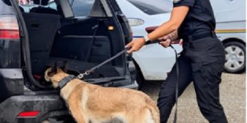 Sancțiuni contravenționale de peste 14.000 de lei aplicate de polițiști în Țicău și Chelința