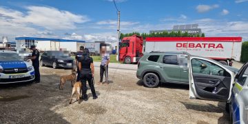 Polițiștii din Sighetu Marmației au revenit pe drumurile publice, împreună cu grupa canină