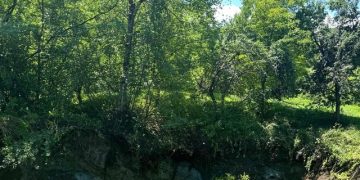 Comiterul Judeţean pentru Situaţii de Urgenţă Maramureş cere bani de la Guvern în urma prăbuşirii de teren din Coștiui