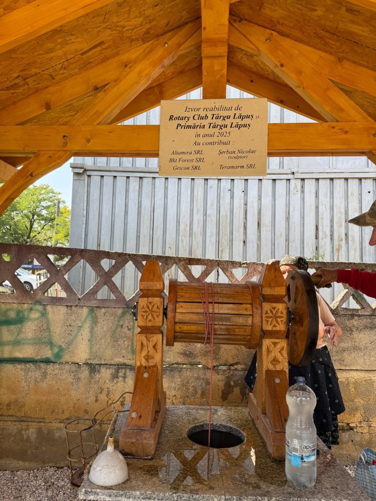 Reabilitarea izvorului de borcut din Rogoz – un proiect pentru comunitate