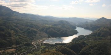 Apel la responsabilitate și respectarea legii – cazul SIMARED nu trebuie să devină precedentul care subminează disciplina administrativă!