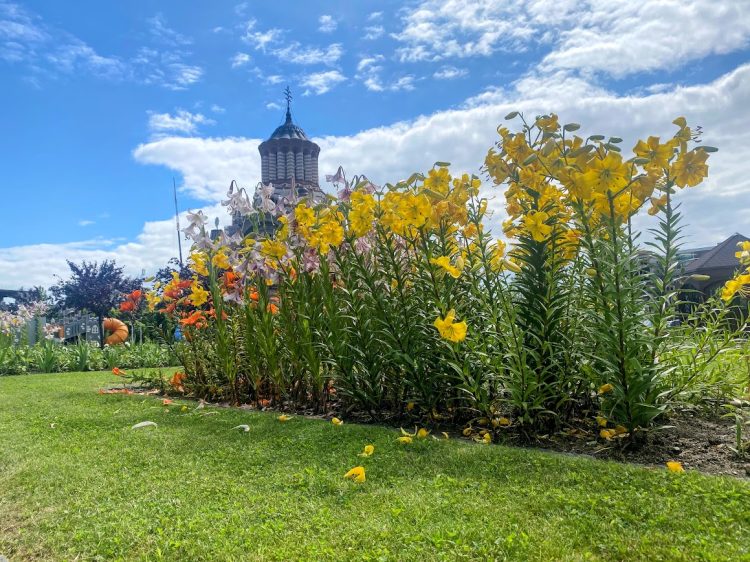 Cerul nu se cumpără, ci se primește