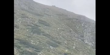 Ninge pe Pietrosul Rodnei, în plină vară