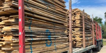 Autocamion indisponibilizat de polițiștii din Suciu de Sus pentru transport ilegal de cherestea. Au fost confisate peste 25 de metri cubi de cherestea