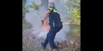 Incendiu la marginea pădurii. A intervenit prompt un polițist aflat la supravegherea traficului rutier pe DN1C