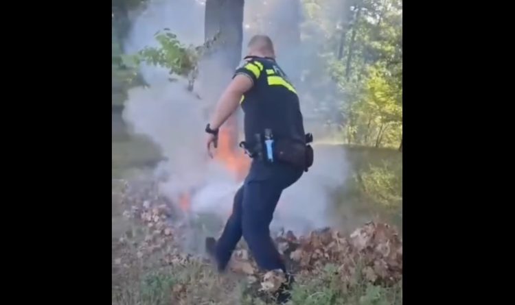 Incendiu la marginea pădurii. A intervenit prompt un polițist aflat la supravegherea traficului rutier pe DN1C