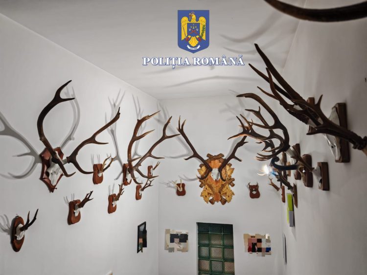 Arme, cartușe, carne de vânat, trofee de vânat și telefoane  au găsit polițiștii în urma perchezițiilor la Borșa. Trei persoane au fost reținute