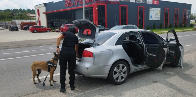 Polițiștii, sprijiniți de câinele polițist Nyx în cadrul verificărilor în Baia Sprie