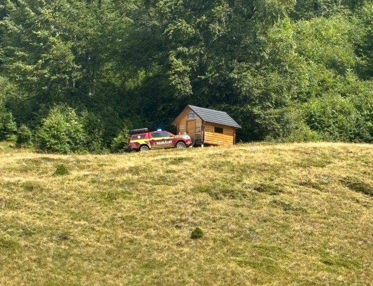 Acțiune contracronometru în zona Creasta Cocoșului. Copil mușcat de șarpe. A fost solicitat elicopterul de la Jibou