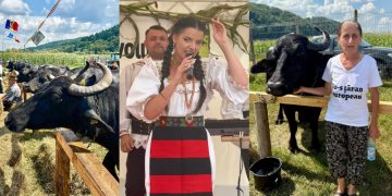 Festivalul Bivolului din Țara Lăpușului – O Sărbătoare Autentică în Suciu de Jos. FOTO