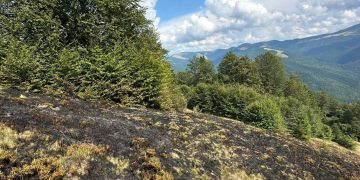 Două incendii în același loc, în doar câteva zile, la Poienile de Sub Munte. SVSU: „Nu dați foc vegetației uscate!”