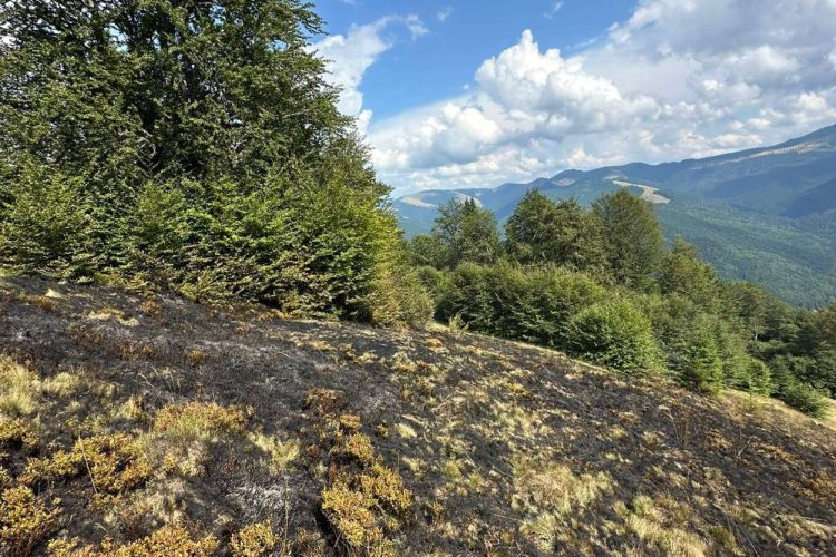 Două incendii în același loc, în doar câteva zile, la Poienile de Sub Munte. SVSU: „Nu dați foc vegetației uscate!”
