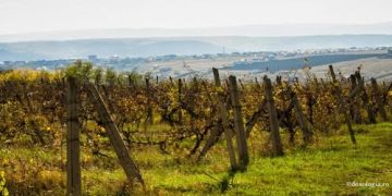 Uneori primim totul, dar refuzăm să dăm rod