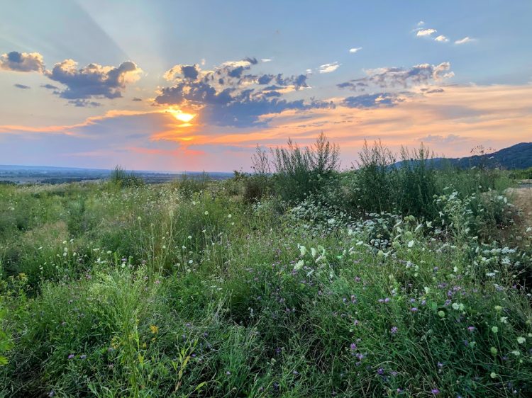 Amintirea unei clipe de veșnicie