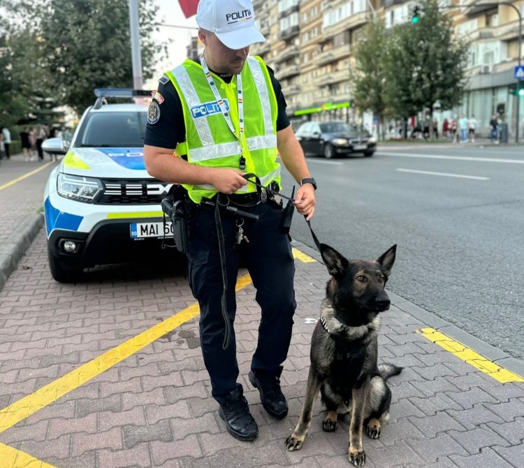 Elevii Școlii „Dimitrie Cantemir” din Baia Mare, agrenați în activități împreună cu polițiștii