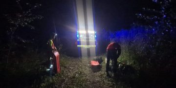 Tragedie pe Valea Roșie: Bărbat de 39 de ani, lovit mortal de un copac prăbușit