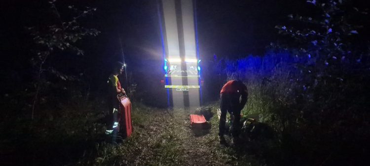 Tragedie pe Valea Roșie: Bărbat de 39 de ani, lovit mortal de un copac prăbușit