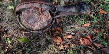 Percheziții domiciliare la Hărnicești și Desești. Armă letală artizanală, capcană metalică și mai multe bunuri descoperite de polițiști