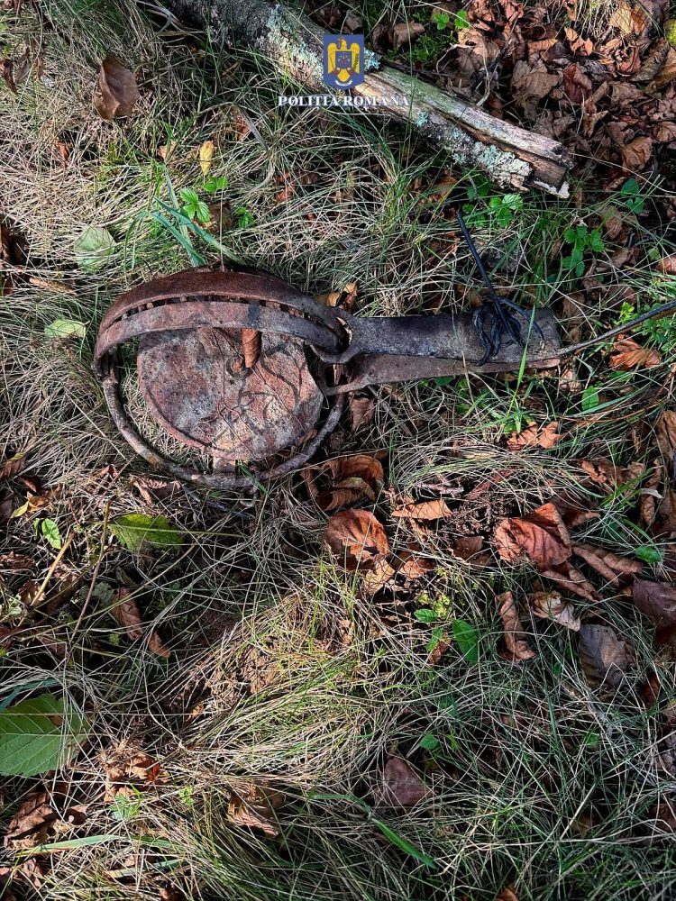 Percheziții domiciliare la Hărnicești și Desești. Armă letală artizanală, capcană metalică și mai multe bunuri descoperite de polițiști
