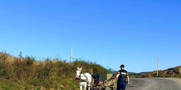 Coroieni. Acțiune, în sistem integrat, pentru siguranța cetățenilor