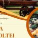 Ziua Recoltei de la Sighetu Marmației a ajuns la cea de-a VI-a ediție