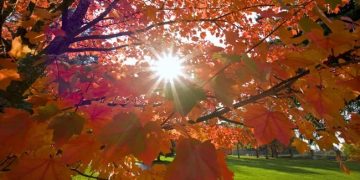 Astăzi este echinocțiul de toamnă