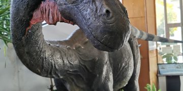 FOTO:  Expoziția „Ultimii dinozauri din Transilvania” rămâne deschisă pentru băimăreni!
