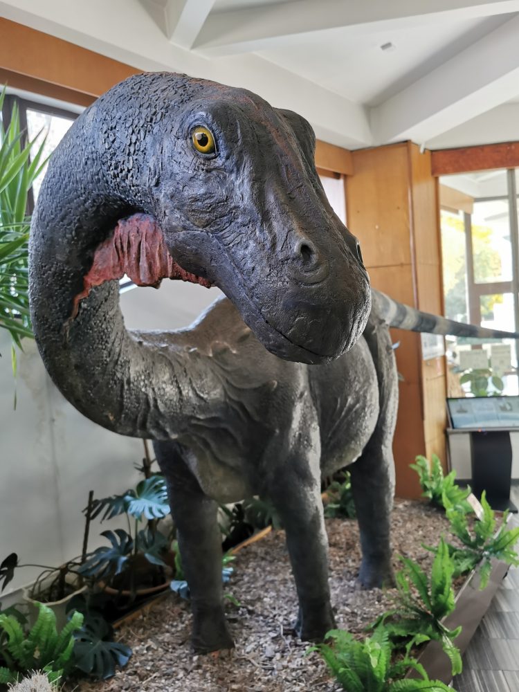 FOTO: Expoziția „Ultimii dinozauri din Transilvania” rămâne deschisă pentru băimăreni!