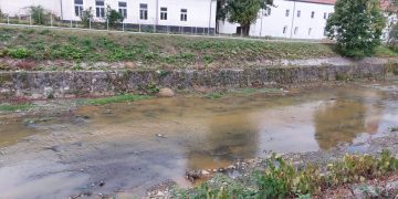 Râul Săsar, poluat accidental, în Baia Mare