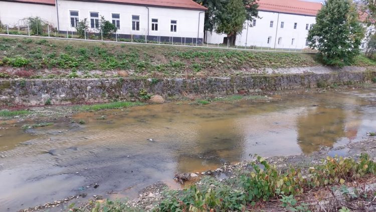 Râul Săsar, poluat accidental, în Baia Mare